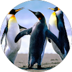 Profile photo of Logan Mcanarney