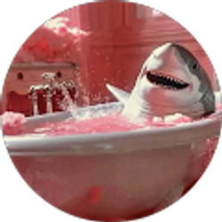 Profile photo of Mer Castilla