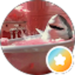 Profile photo of Mer Castilla