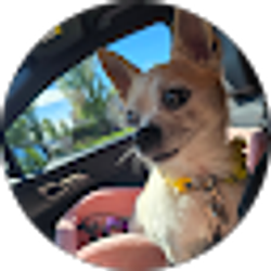 Profile photo of PoohBear Ferris