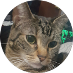 Profile photo of Linda G