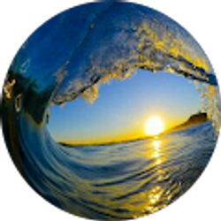 Profile photo of F G