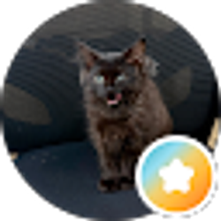 Profile photo of Kali
