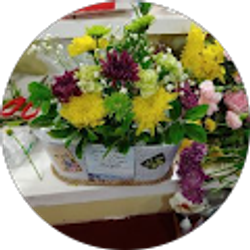 Profile photo of catalina8613