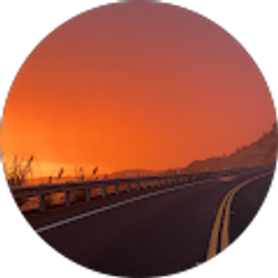 Profile photo of Nikki Namvar