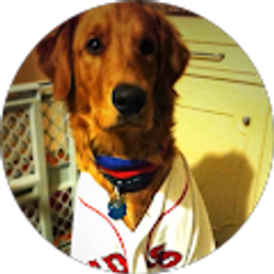 Profile photo of Roger Gonzalez