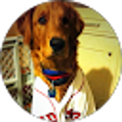 Profile photo of Roger Gonzalez