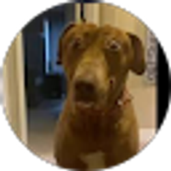 Profile photo of Corbin Mccoy