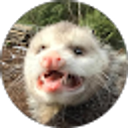 Profile photo of Mark Girard