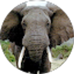 Profile photo of tammie coulter