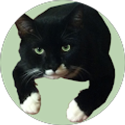 Profile photo of Darren Mayner