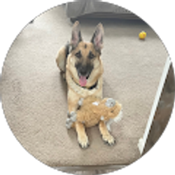 Profile photo of Tina Vanderveen