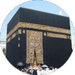 Profile photo of Qasim Sohail
