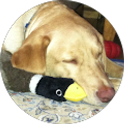 Profile photo of Andrew Murray