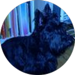 Profile photo of Kay Nelson