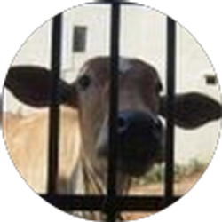 Profile photo of Staci Lambright