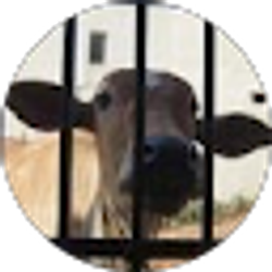 Profile photo of Staci Lambright