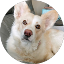 Profile photo of Mari Rezinas