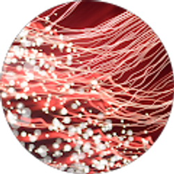 Profile photo of Duncan pease