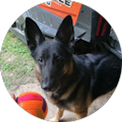 Profile photo of Tresa Hubbard