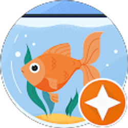 Profile photo of N P