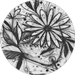 Profile photo of Elise