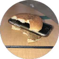 Profile photo of Bug Lover 45