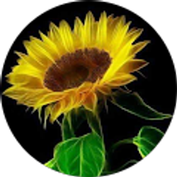 Profile photo of Rhonda Johnson