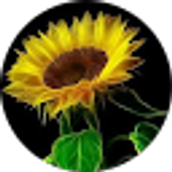 Profile photo of Rhonda Johnson