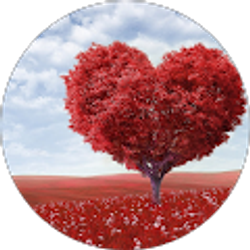 Profile photo of Jacky Dellarco