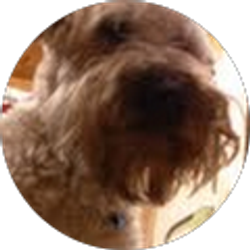 Profile photo of debra lipscomb