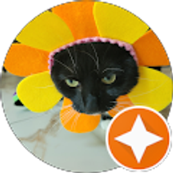 Profile photo of T o