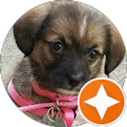 Profile photo of Zuleidy Lopez