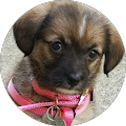 Profile photo of Zuleidy Lopez