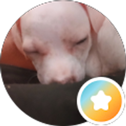 Profile photo of Kristy Veliz