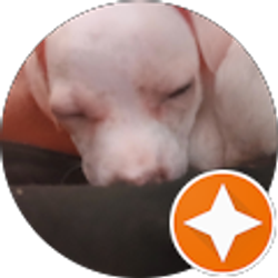 Profile photo of Kristy Veliz