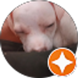 Profile photo of Kristy Veliz