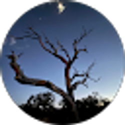 Profile photo of chase schomp