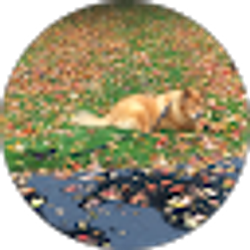Profile photo of Sheila Penny