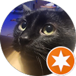 Profile photo of A Star