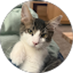 Profile photo of M K N B