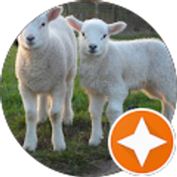 Profile photo of Paulina Anderson