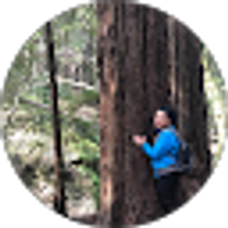 Profile photo of Ivania Monterroso