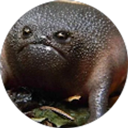 Profile photo of Matthew Wardle