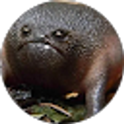 Profile photo of Matthew Wardle