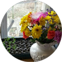 Profile photo of Terri Lehr