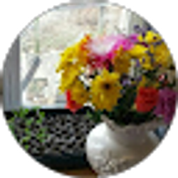 Profile photo of Terri Lehr