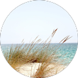 Profile photo of Jenny Jacks