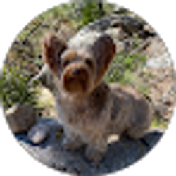 Profile photo of Jon Braginton