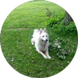 Profile photo of Rick Jones